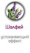 Шалфей в носочках SoSu